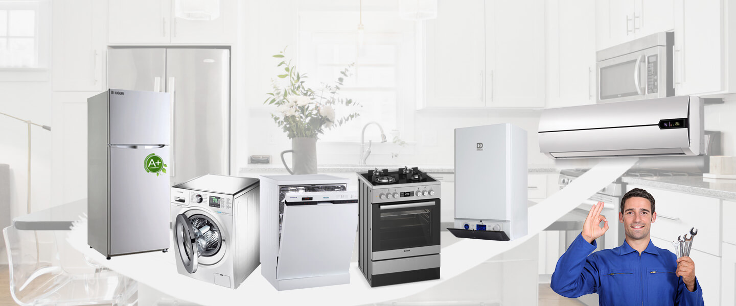 Ağaçören Electrolux Servisi